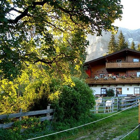 Appartamento Haus Berghild Ramsau am Dachstein Esterno foto