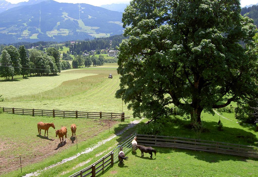 Appartamento Haus Berghild Ramsau am Dachstein Esterno foto